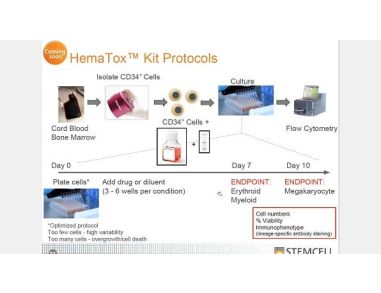 Anticipating Cytopenia: In Vitro Methods for Hematotoxicity Testing