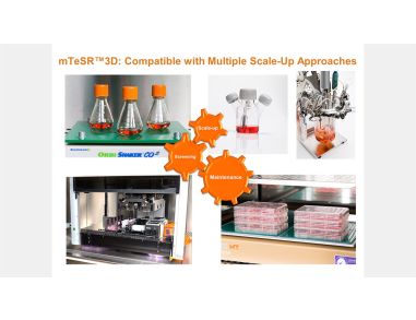 mTeSR™3D for Expansion and Scale Up of Human Pluripotent Stem Cell Cultures 