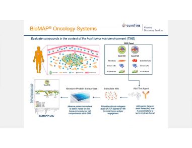 Evaluating the Immuno-Oncology Potential of Compounds Using Human In Vitro TME Models