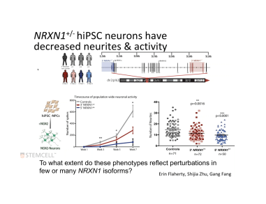 Using hiPSCs to Study Genetic Variants Linked to Schizophrenia