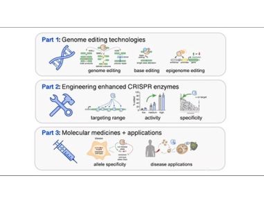 Improving Genome Editing with Enhanced CRISPR-Cas Nucleases