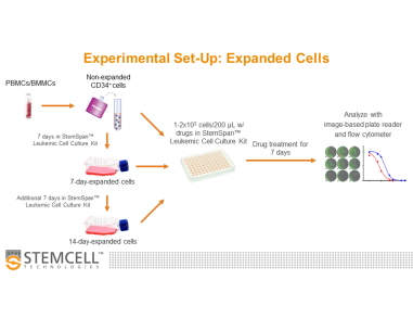 Troubleshooting In Vitro Expansion of Leukemic Cells
