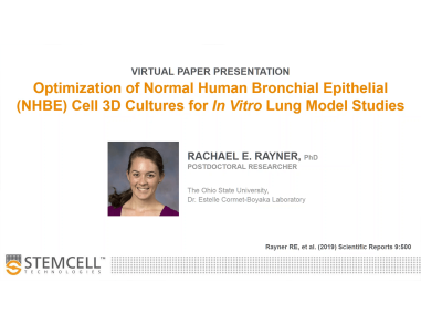 Optimization of Normal Human Bronchial Epithelial Cell 3D Cultures for In Vitro Lung Model Studies