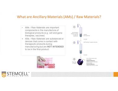 The Impact of Ancillary Materials on Your Translational Research
