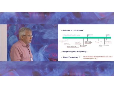Pluripotency Tests
