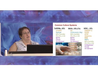 Maintenance of Human Pluripotent Stem Cells In Vitro