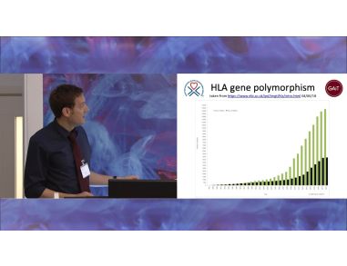 HLA Typing Considerations for Human Pluripotent Stem Cell Banking