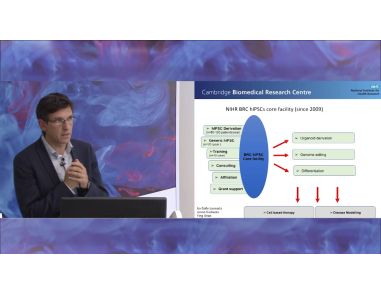 Genome Editing in Human Pluripotent Stem Cells