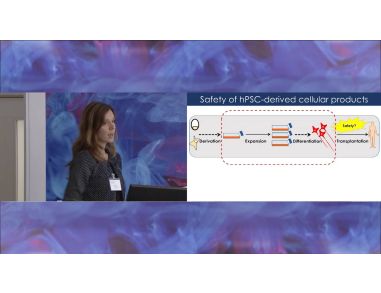 The Process of Human Pluripotent Stem Cell Adaptation