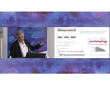 Genomic Integrity of Human Pluripotent Stem Cells