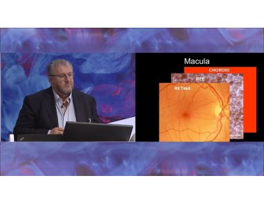 Retinal Cell Therapy Using Human Embryonic Stem Cells