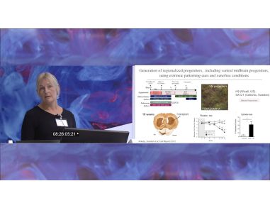 Parkinson's Disease Therapy with Human Embryonic Stem Cells
