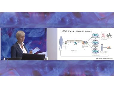 Human Pluripotent Stem Cell Lines as Disease Models