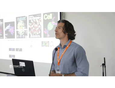 Functional Applications of Intestinal Organoids