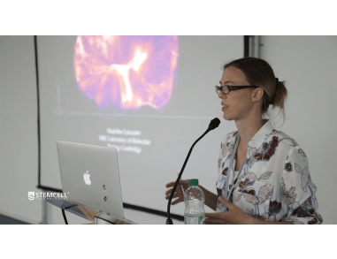 Advances in Brain Organoid Technologies and their Applications to Human Biology