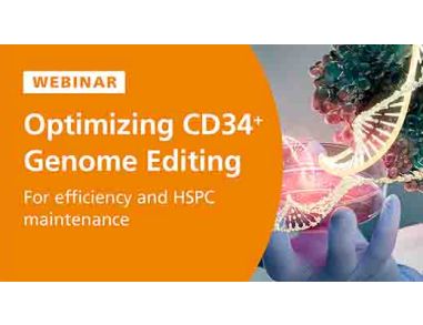 Optimizing CD34+ Cell Genome Editing for Efficiency and HSPC Maintenance