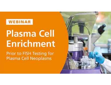 Plasma Cell Enrichment Prior to FISH Testing