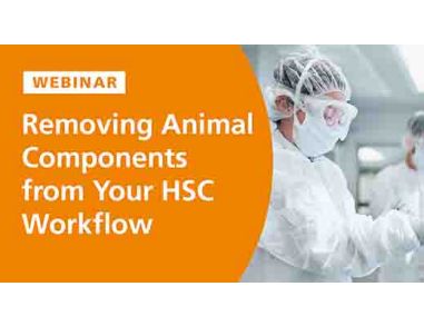 Removing Animal Components from Your HSC Workflow