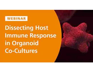 Dissecting the Innate Immune Response in Human Intestinal Organoid Models