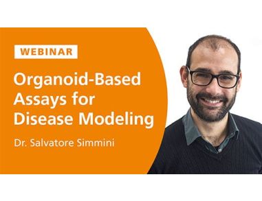 Organoid-Based Assays for Disease Modeling