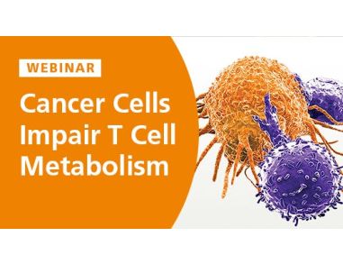 Cancer Cells Impair T Cell Metabolism 