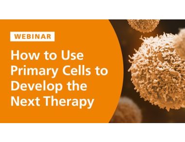 How to Use Primary Cells to Develop the Next Therapy