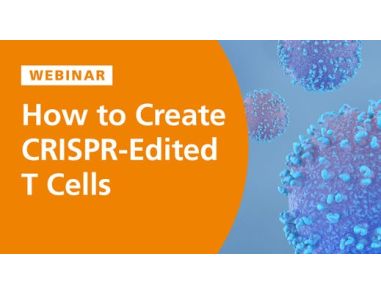 How to Create CRISPR-Edited T Cells 