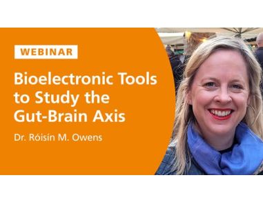 Bioelectronic Tools to Study the Gut-Brain Axis