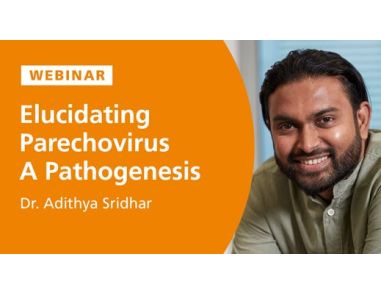 Elucidating Parechovirus A Pathogenesis Using Organoid Models