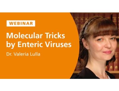 Molecular Tricks of Neurotropic Intestinal Viruses