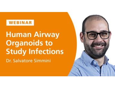 Human Airway Organoids to Study Host-Pathogen Interactions