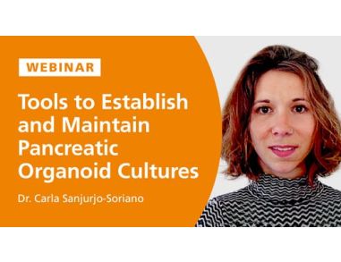 Tools to Establish and Maintain Pancreatic Organoid Cultures
