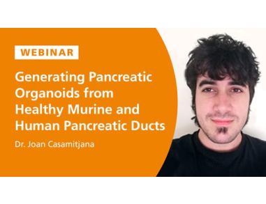 Generating Pancreatic Organoids from Healthy Murine and Human Pancreatic Ducts
