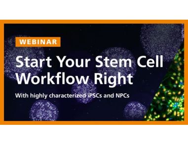 Highly Characterized Human iPSCs and NPCs for Downstream Differentiation Applications