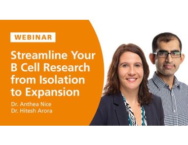Streamline Your B Cell Research from Isolation to Expansion