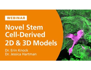Novel Methods for the Development of Stem Cell-Derived 2D and 3D Models