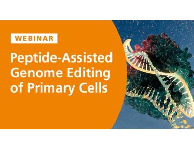 Peptide-Assisted Genome Editing of Primary Cells