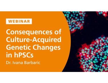 Consequences of Culture-Acquired Genetic Changes in Human Pluripotent Stem Cells