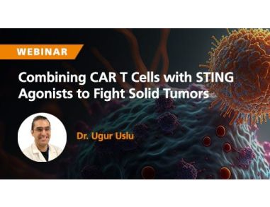 Combining CAR T Cells with STING Agonists to Fight Solid Tumors