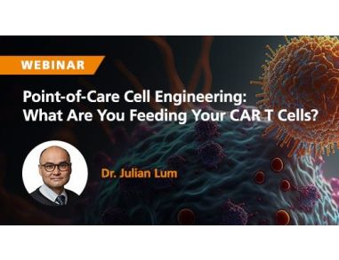 Advances in Point-of-Care Cell Engineering—What Are You Feeding Your CAR T Cells?