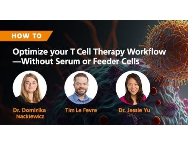 How to Optimize Your T Cell Therapy Workflow—Without the Use of Serum or Feeder Cells