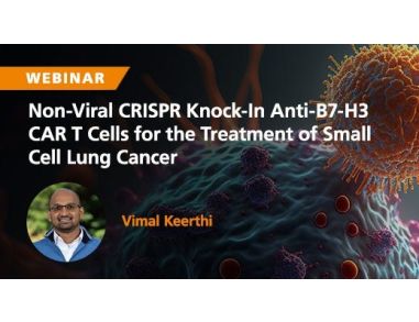 Non-Viral CRISPR Knock-In Anti-B7-H3 CAR-T Cells Are Amenable for Treatment of Subtypes of Small Cell Lung Cancer