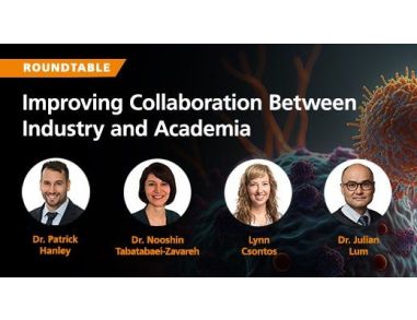 Roundtable: Improving Collaboration Between Industry and Academia in the Field of CAR T Cell Therapy