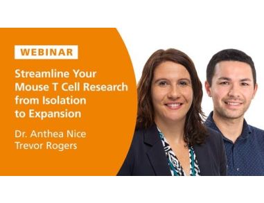 Streamline Your Mouse T Cell Research from Isolation to Expansion