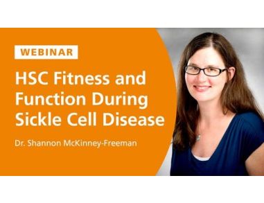 Hematopoietic Stem Cell Fitness and Function During Sickle Cell Disease