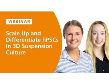 How to Scale Up and Differentiate hPSCs in 3D Suspension Culture