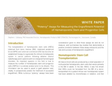 Potency Assays for Measuring the Engraftment Potential of HSPCs