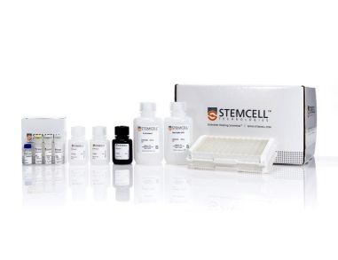 人IL-1 β酶联免疫吸附测定试剂盒
