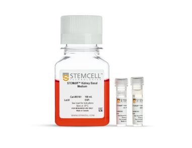 STEMdiff™ 肾类器官试剂盒