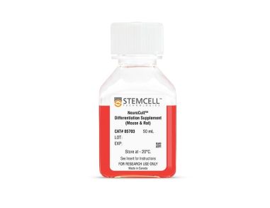 NeuroCult™ 分化添加物（小鼠和大鼠）